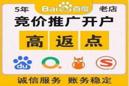 百度SEM代运营案例揭秘，如何实现ROI最大化